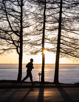 A silhouette of a person running along a bay at sunset with bare trees and icy water.