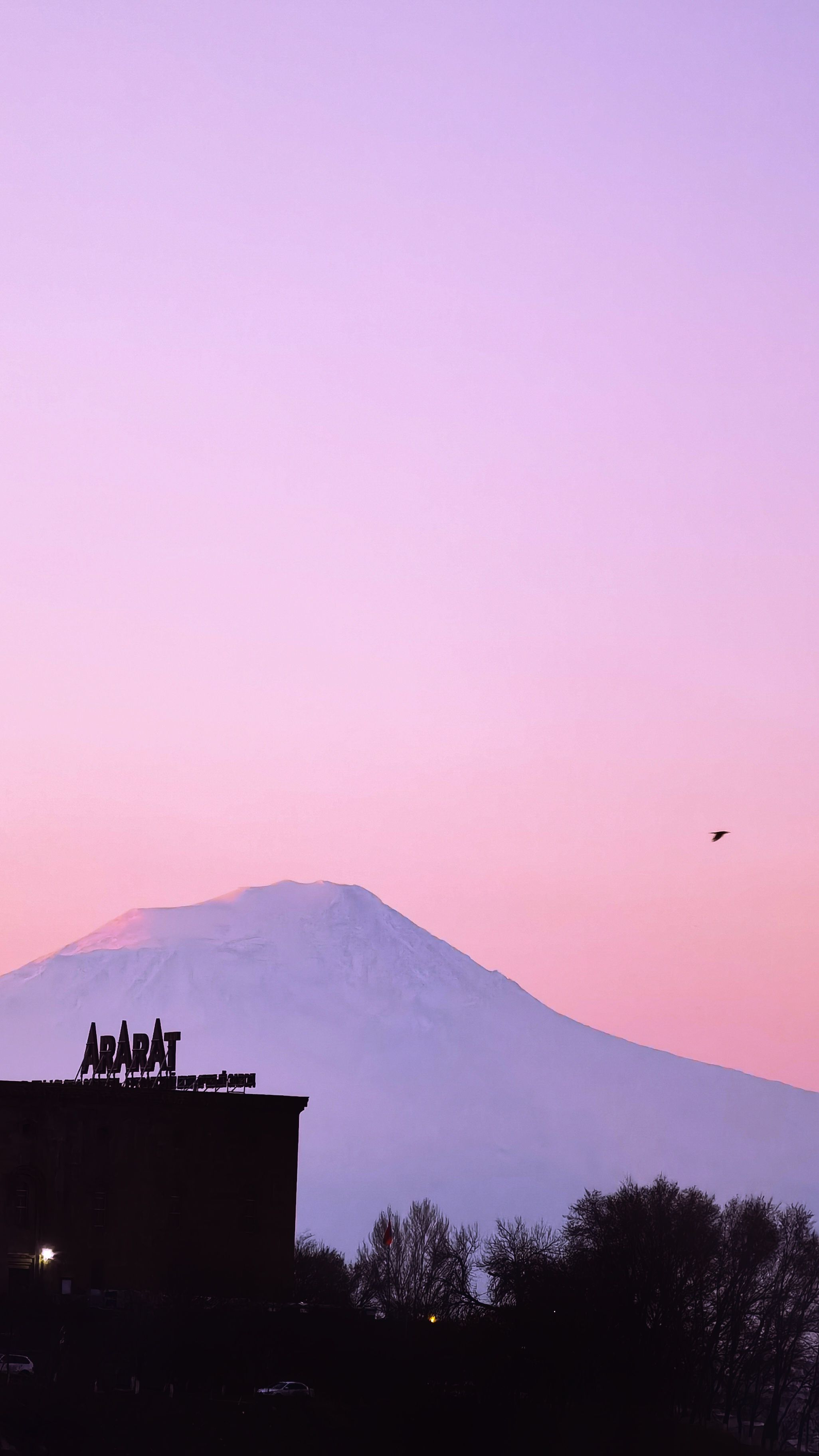 Ararat Armenia-AZ Alkmaar: Tulipa e mais cinco