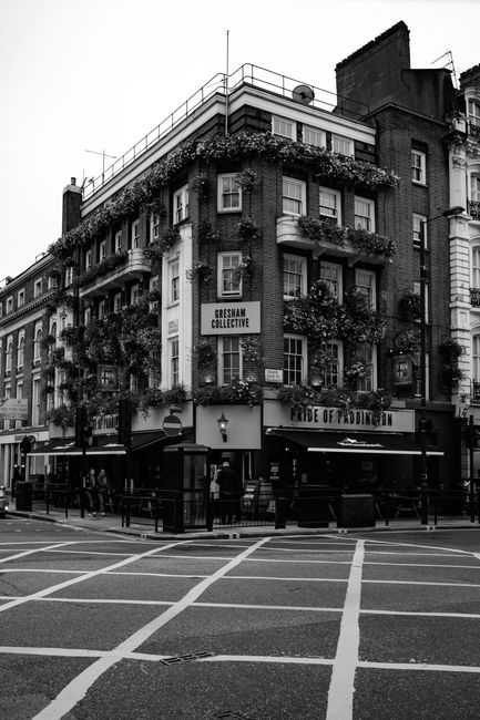 Black and white view of a historic city building with plants and signage, street view.