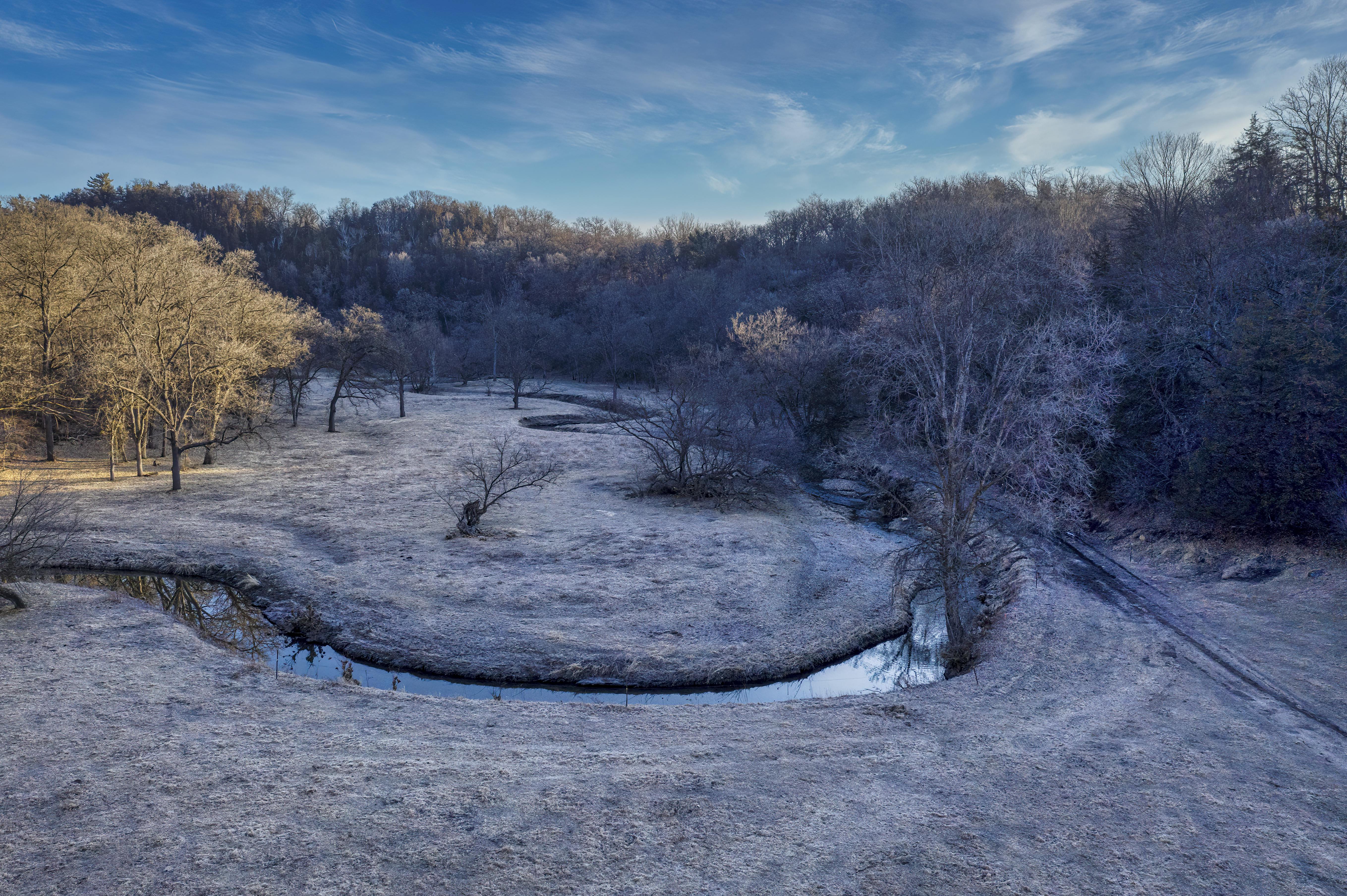 What is the hardest wood?