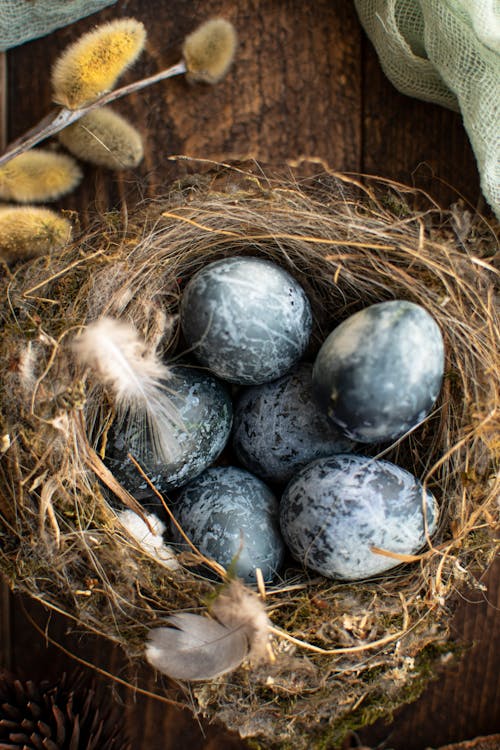 Close-Up Shot of Easter Eggs in a Nest