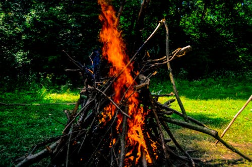 Free stock photo of bonfire, burning, camp Stock Photo