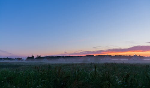 Houses on Foggy Green Grass Field