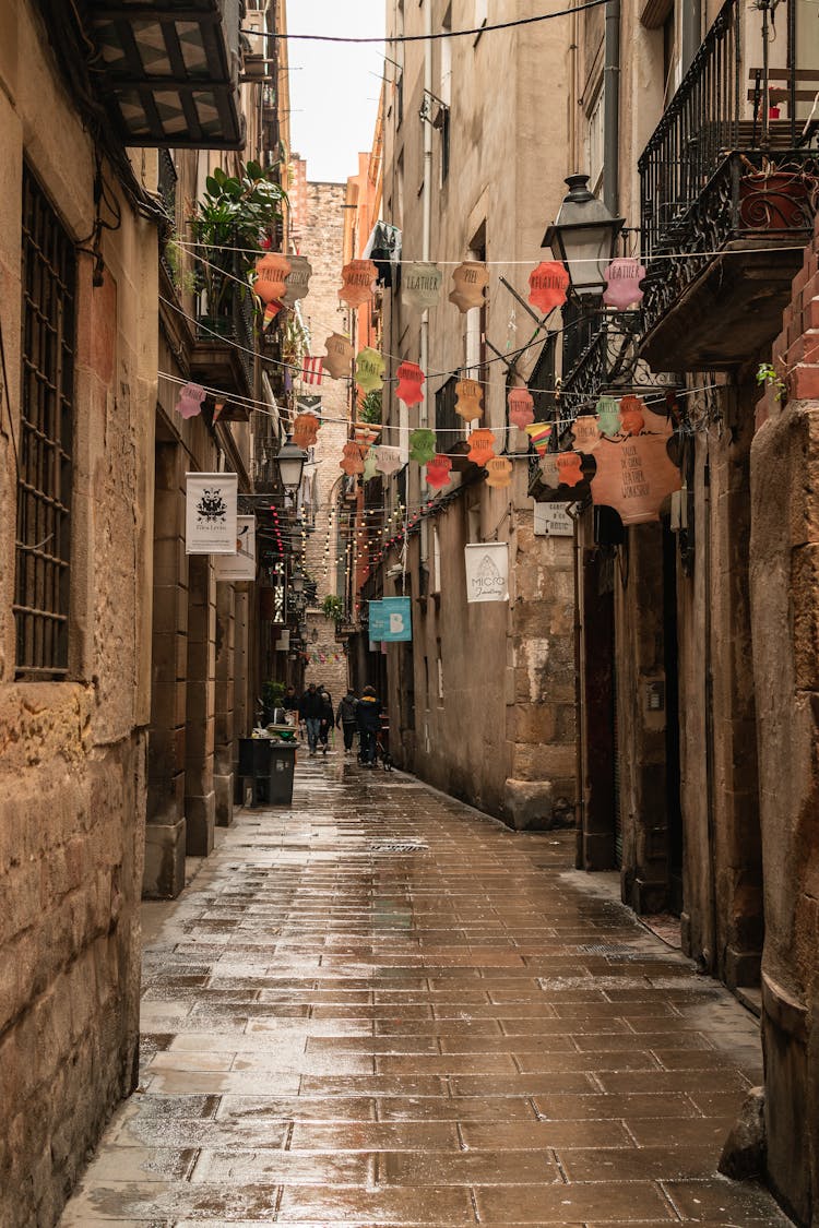 People Walking On Alleyway