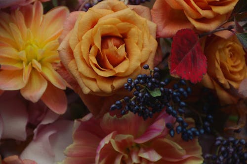 çiçek buketi, süs, vazoda çiçekler içeren Ücretsiz stok fotoğraf