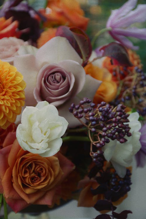çiçek buketi, güzel doğa, vazoda çiçekler içeren Ücretsiz stok fotoğraf