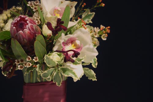 çiçek buketi, güzel doğa, vazoda çiçekler içeren Ücretsiz stok fotoğraf
