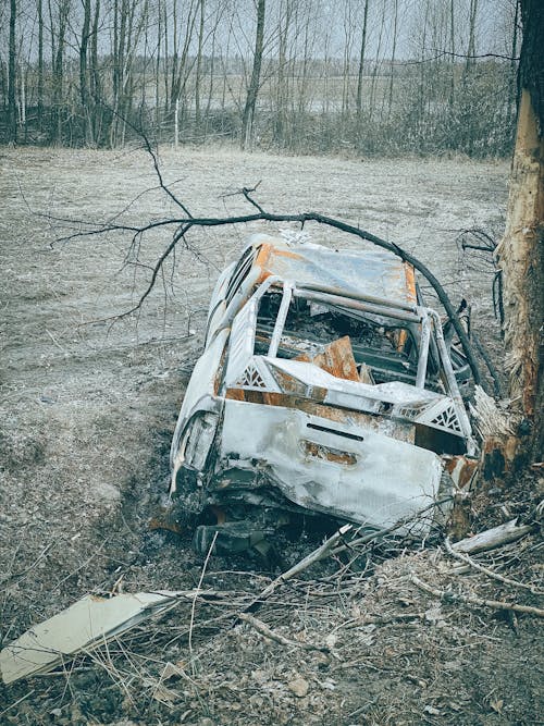 Wrecked and Burned Car beside a Leafless Tree
