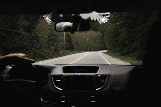 View from inside a car driving along a winding road surrounded by forest.