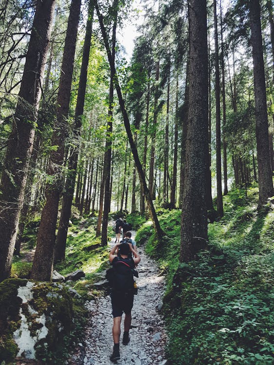 outdoor hiking