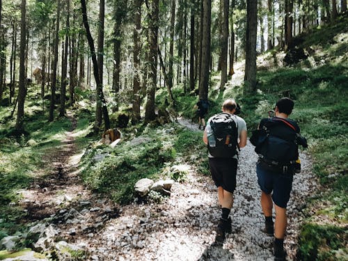 Unrecognizable travelers with rucksacks walking on pathway in forest