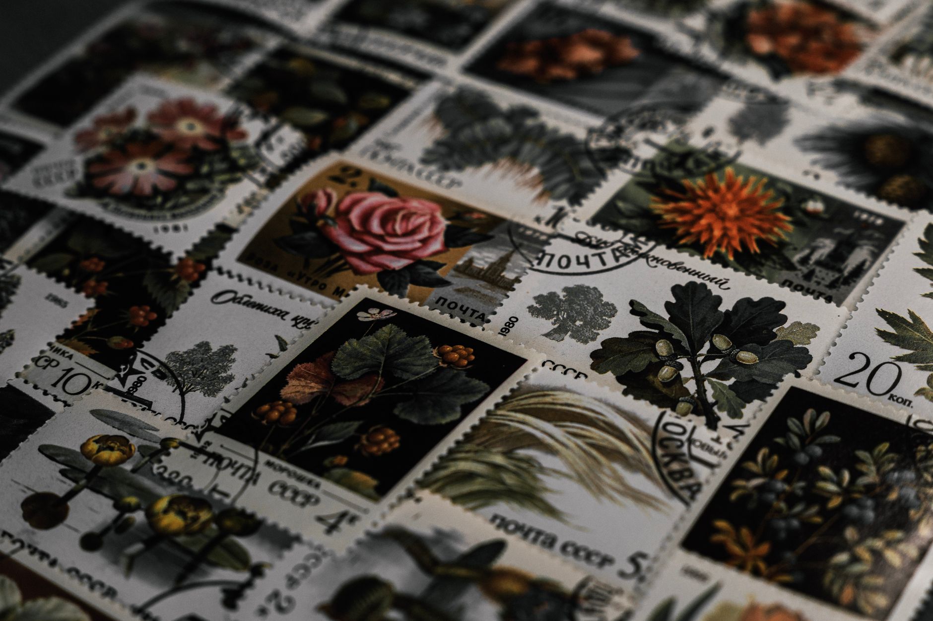 A close-up view of vintage postage stamps featuring botanical illustrations with a dark, moody tone.. pexels, close, view