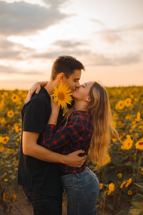 Foto profissional grátis de campo de girassol, casal bonito, flor de verão