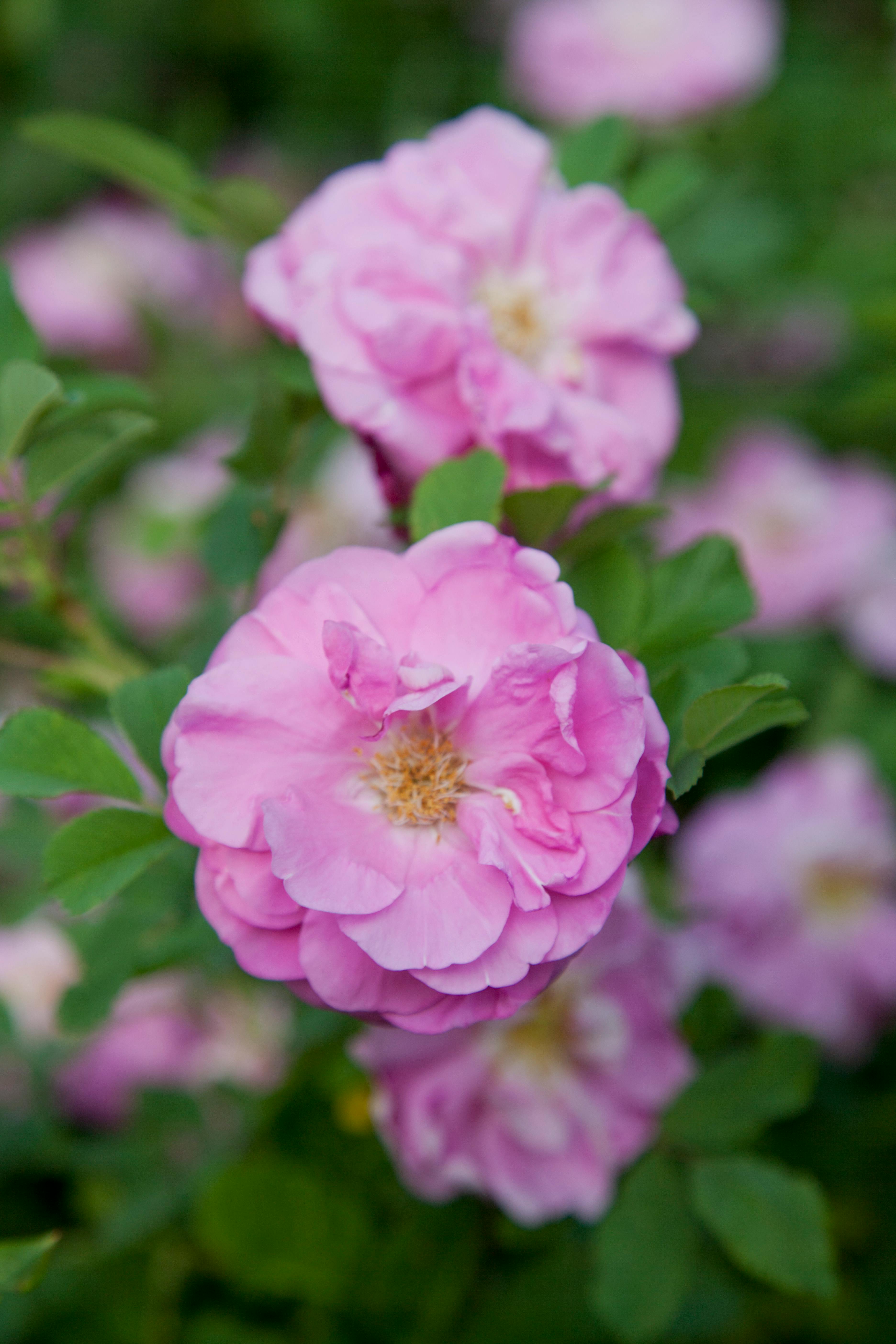 Night race pit lane with Formula 1 crew preparing for a stop