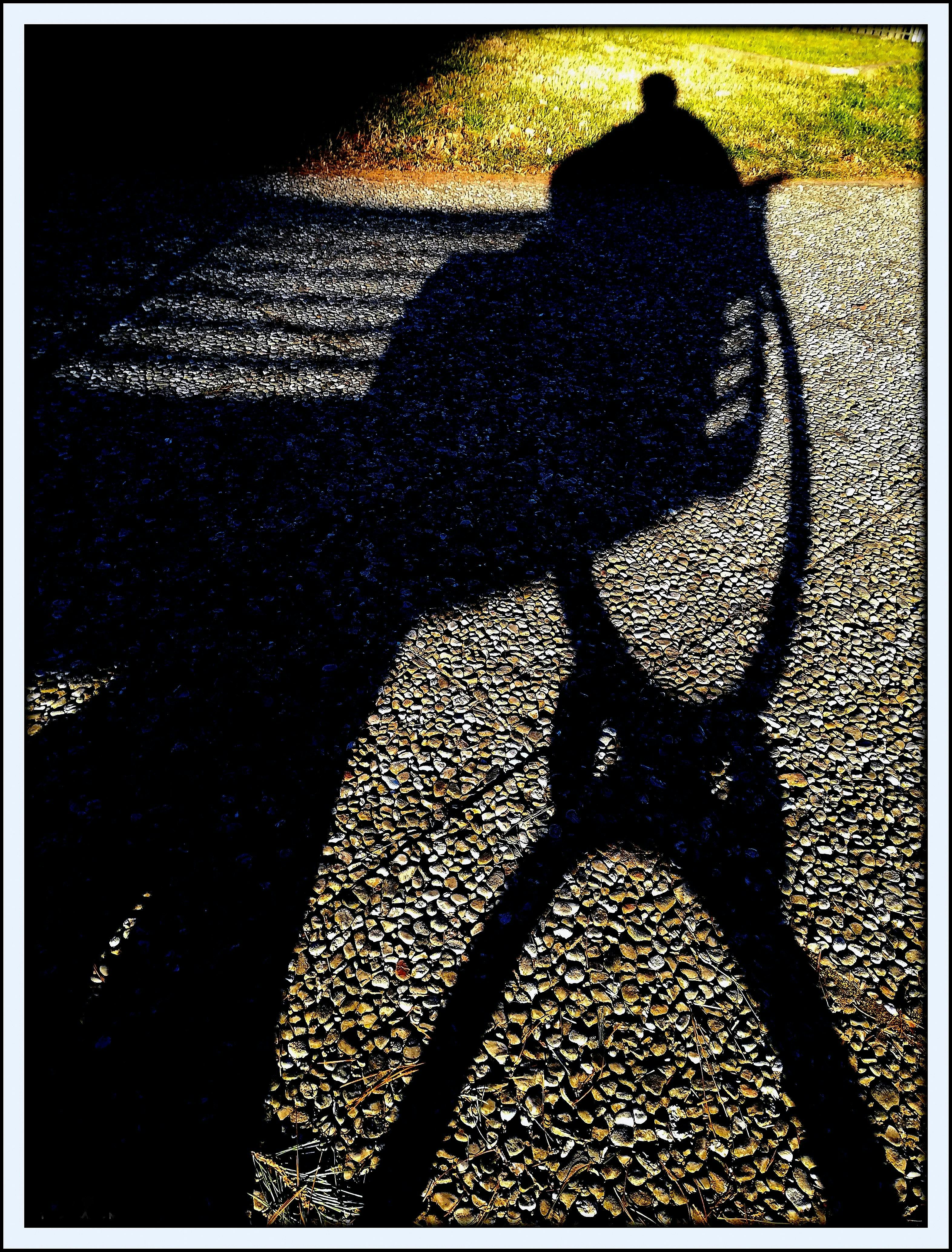 Aerial view of a modern Formula 1 circuit at night