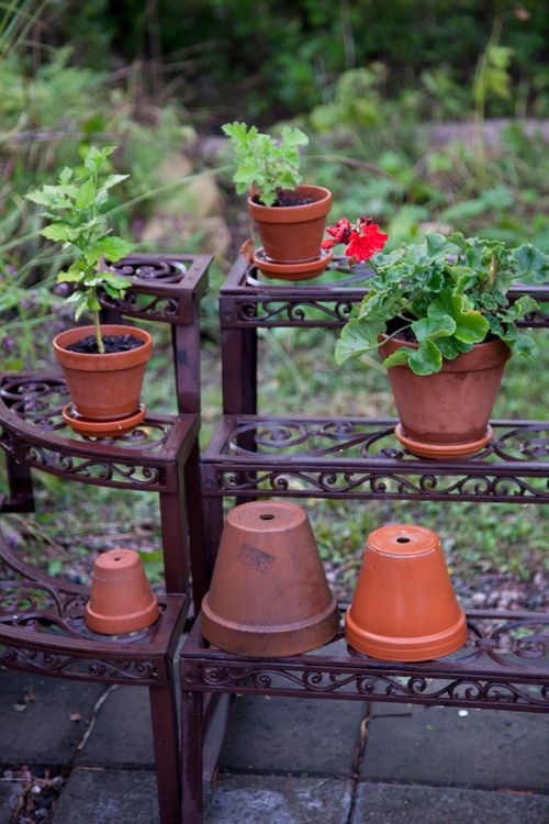 Free Terracotta pots with plants displayed on ornate metal shelving outdoors. Stock Photo