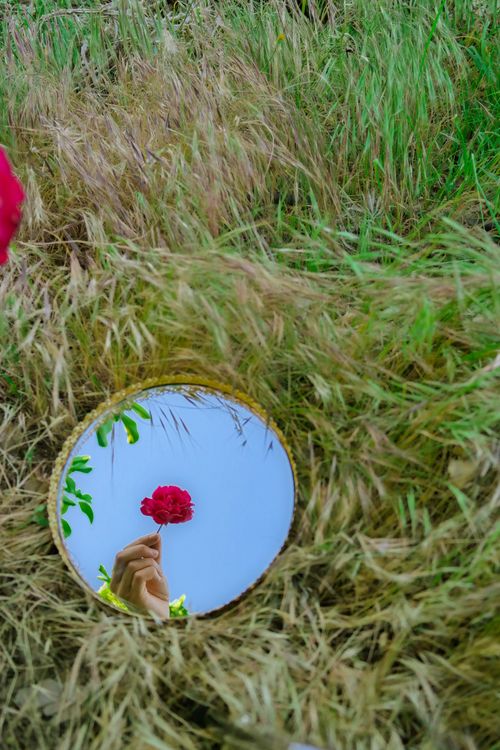 Free A red flower reflected in a mirror surrounded by wild grass in Turkey. Stock Photo