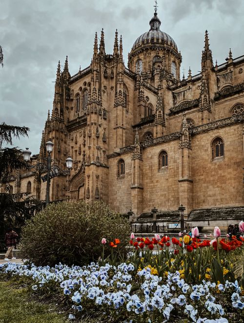 Free Beautiful view of a historic Gothic cathedral in Salamanca with a vibrant spring flower garden. Stock Photo