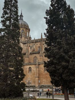 Stunning view of a Gothic cathedral framed by towering cypress trees in Salamanca, Spain.