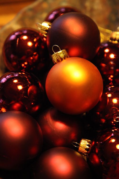 Free christmas Stock Photo
