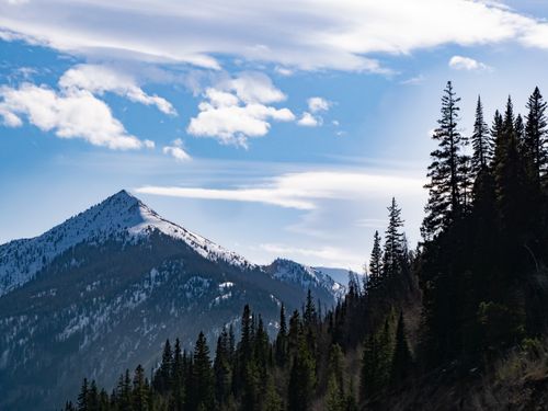 Free Snow-capped mountains and lush forests under a clear blue sky in Colorado. Stock Photo