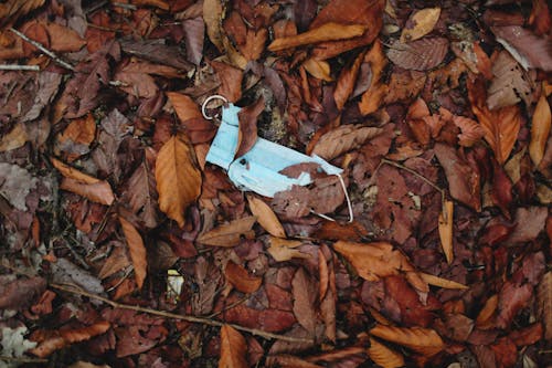 Free Face Mask on the Ground Full of Dried Leaves Stock Photo