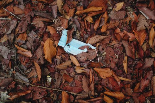 Free A single blue face mask lies on a bed of autumn leaves, symbolizing environmental littering. Stock Photo