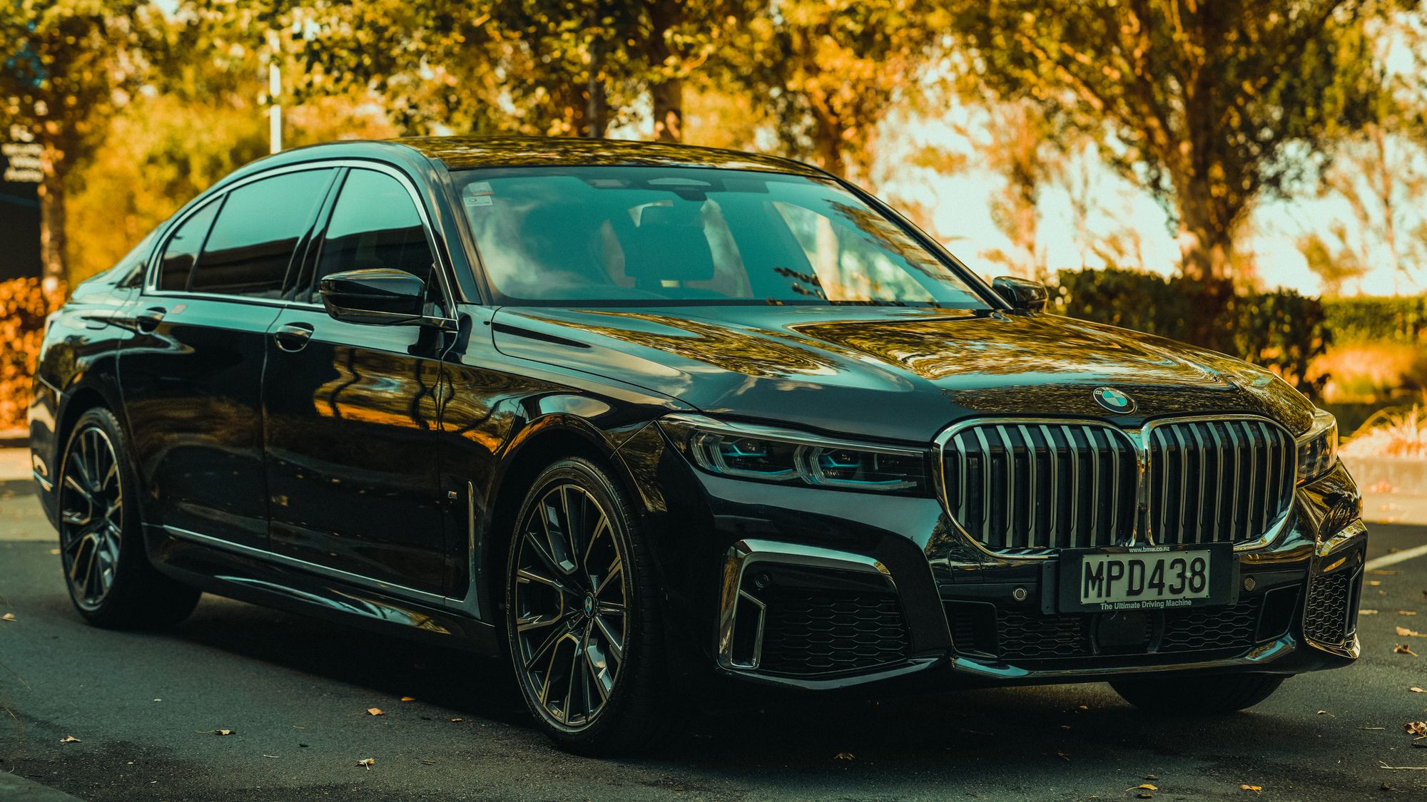 Black BMW on a tree-lined road