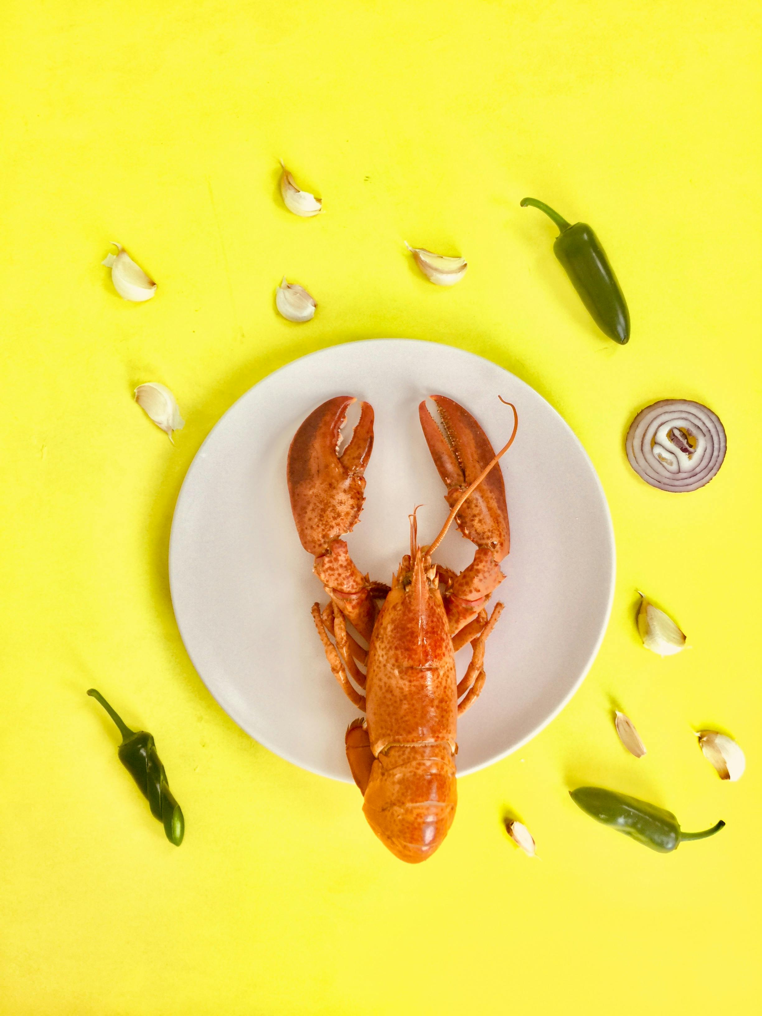 lobster on round white ceramic plate