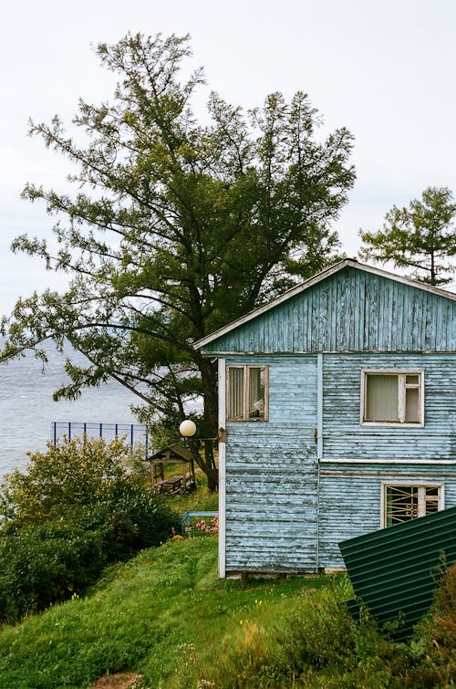 Foto profissional grátis de árvores, casa de madeira, céu branco