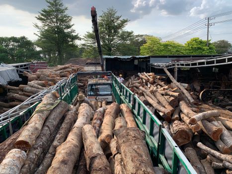 Brown Firewood on Green Metal Frame