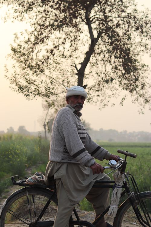 Free A senior man wearing a turban rides a bicycle through a rural landscape at sunset. Stock Photo