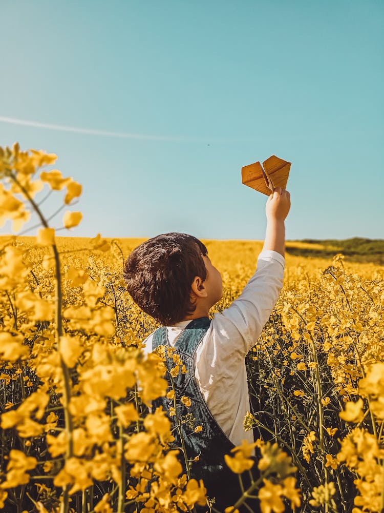 A Kid Playing On The Flower Field Holding A Paper Airplane 