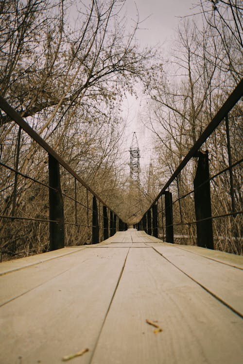 Wooden Bridge in Between Trees 