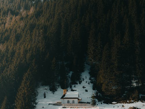 Free The lonely house Stock Photo