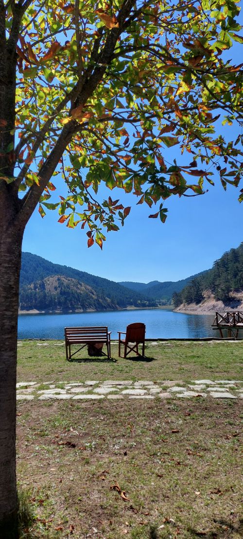 Free stock photo of bench, blue, lake Stock Photo