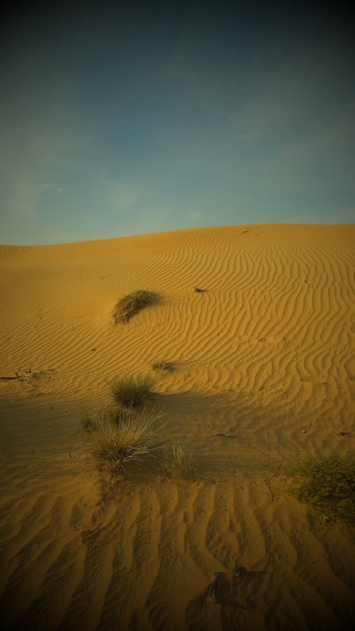Free Brown Sand of a Desert Under Blue Sky Stock Photo