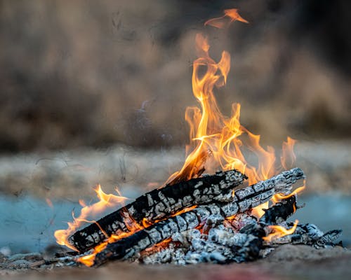 Gratis arkivbilde med aske, brann, brennende tre