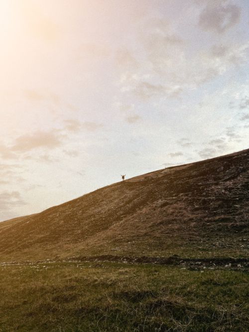 Free Silhouette of a person celebrating on a hill under a colorful sky, symbolizing freedom. Stock Photo