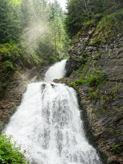 A Waterfalls in the Middle of Green Trees in the Forest