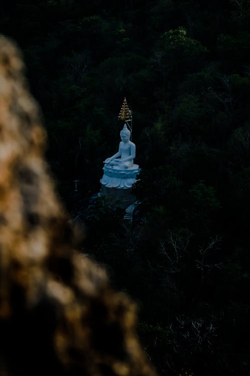 Photograph of a White Buddha Statue