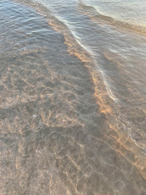 무료 물, 바다, 반짝이는의 무료 스톡 사진