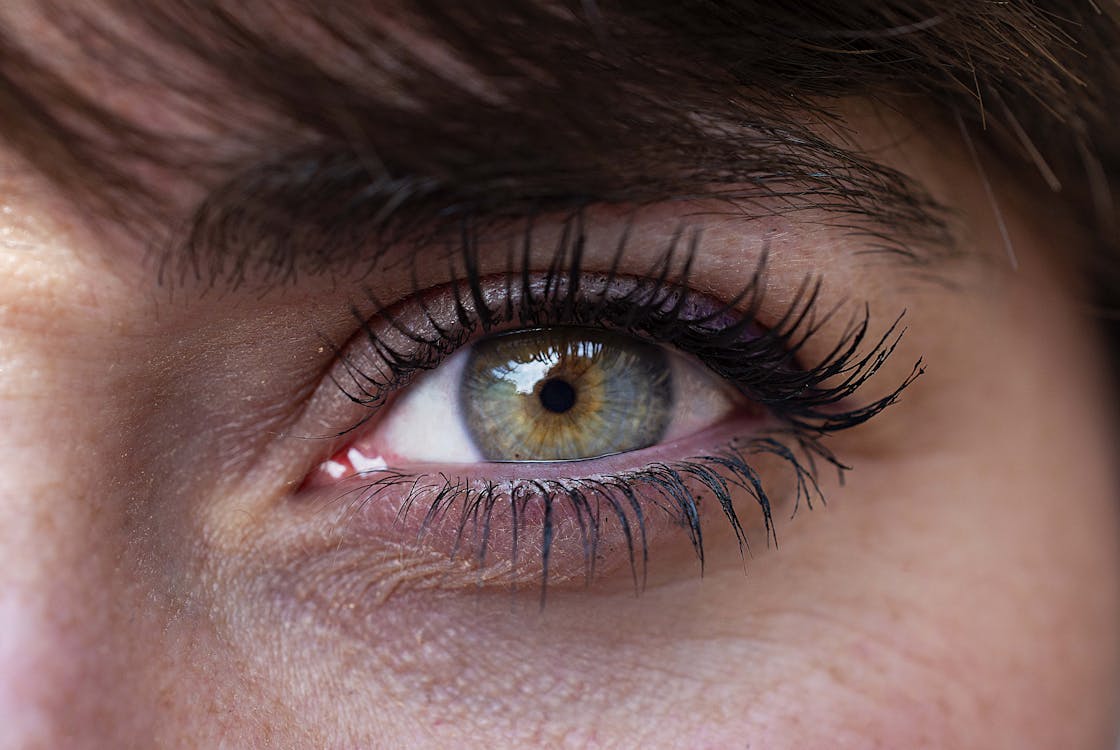 Close-up Photo of an Eye