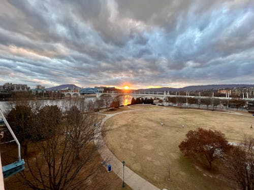 Free stock photo of bridge, park, sky