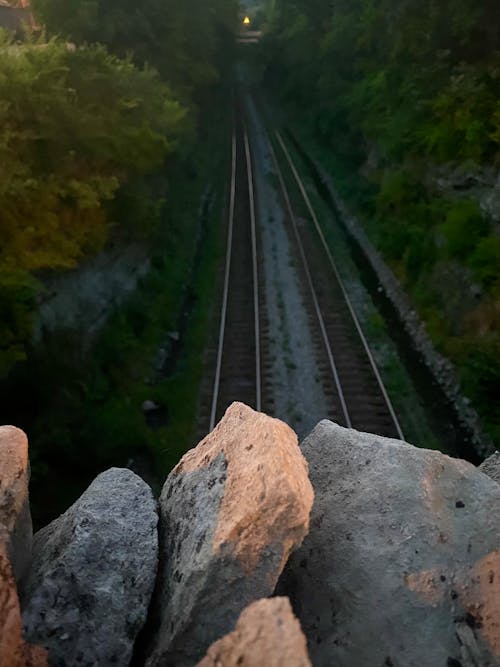 Free stock photo of ature, rail, railroad