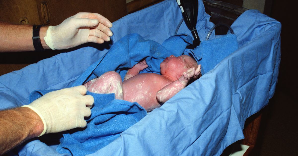 Surrogate Birth Sparks Legal Battle with Biological Parents