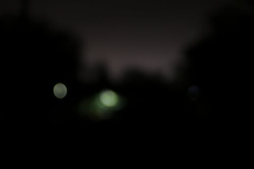 Free stock photo of black forest, blur, blurr