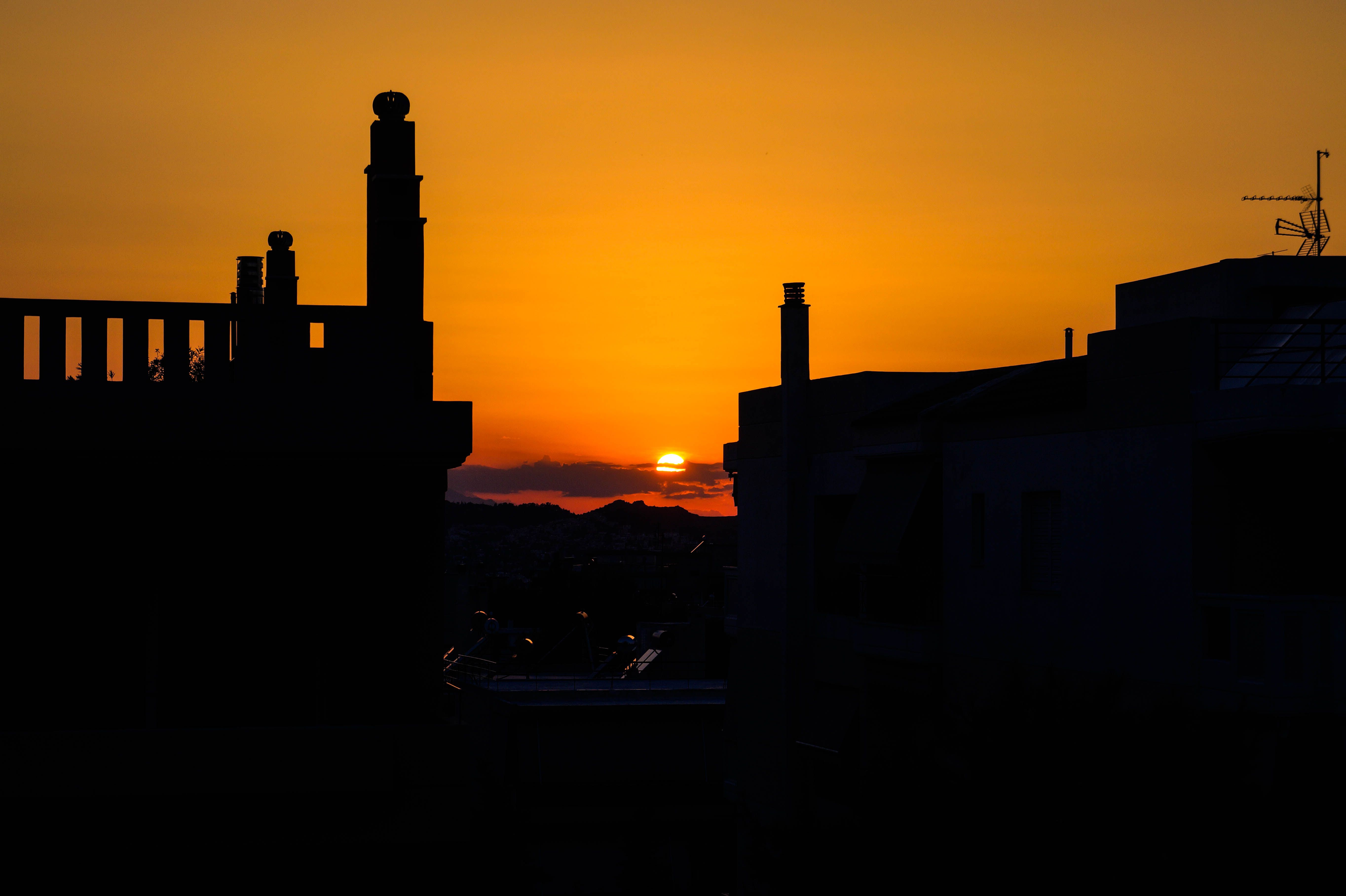 Rooftop bar Six d.o.g.s