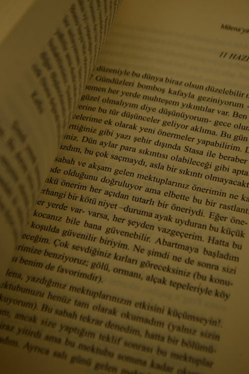 Close-Up Shot of a Book 