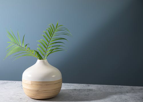 植木鉢, 灰色の壁, 穏やかな背景の無料の写真素材